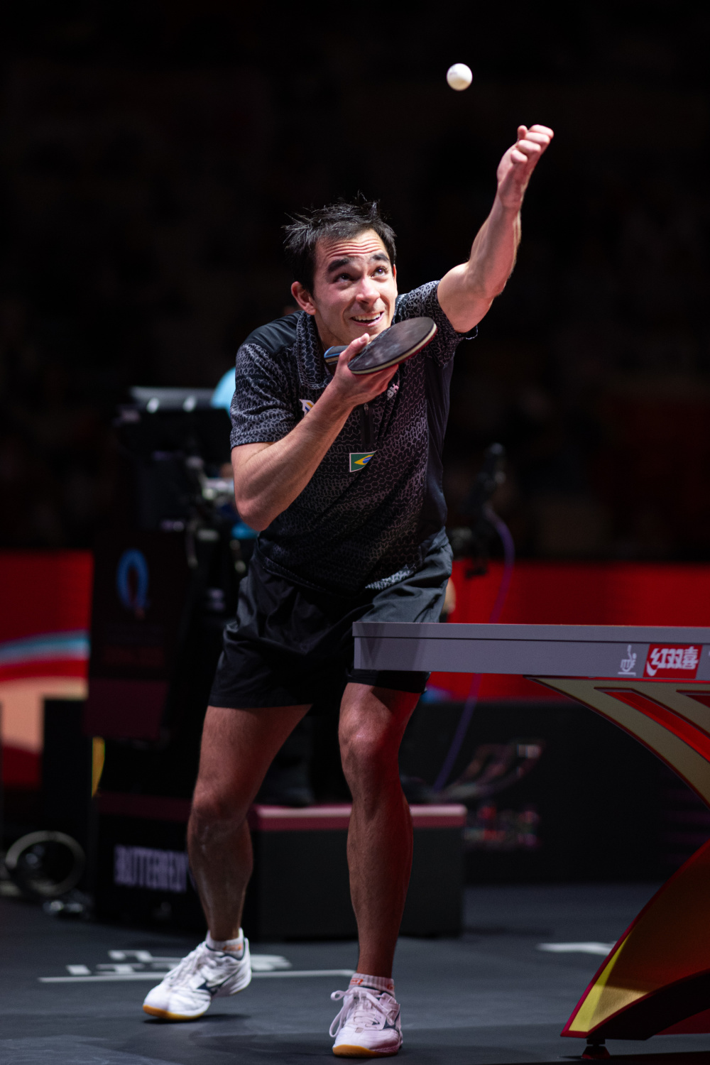 智的决策 智的决策