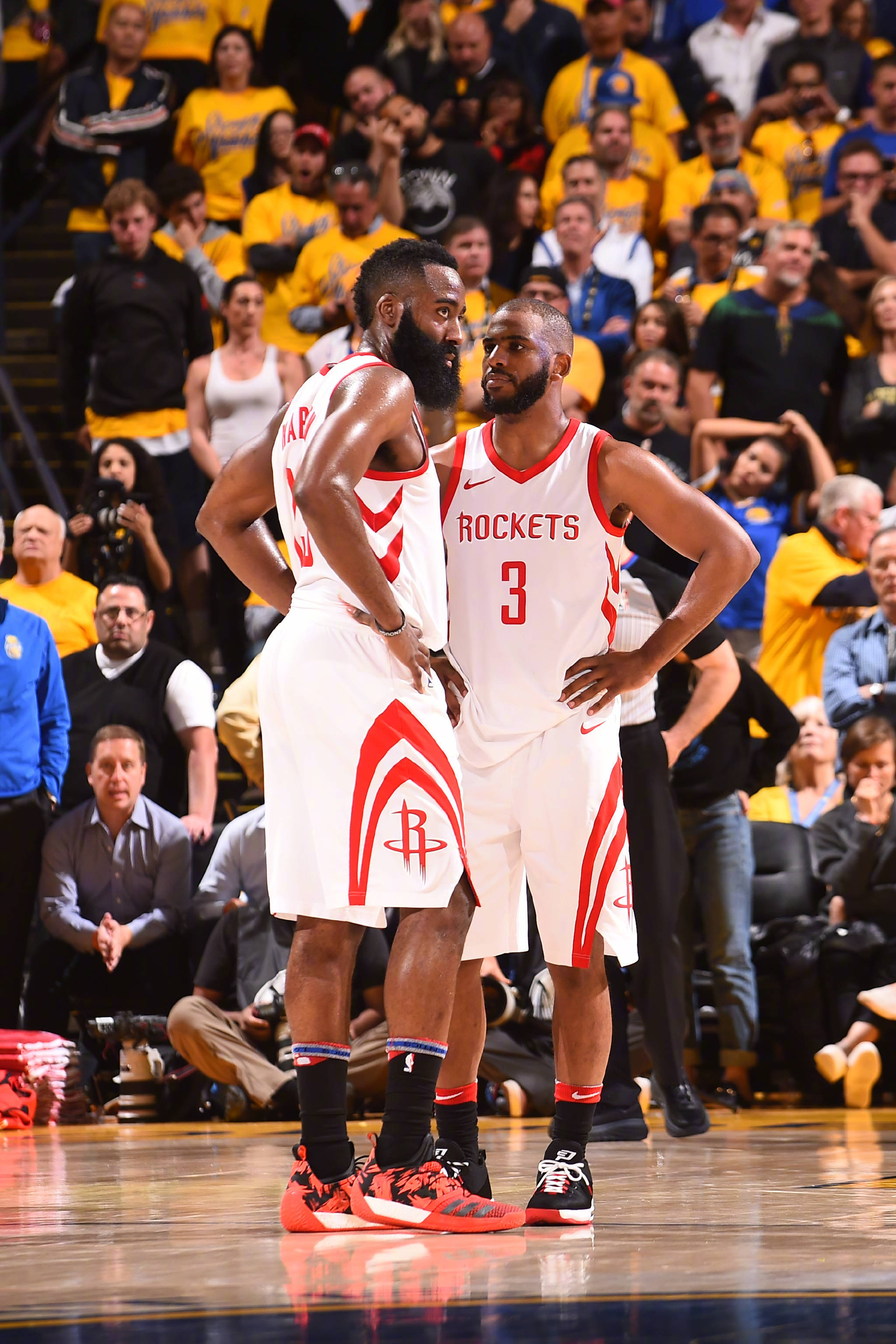 不乏明星公 不乏明星公