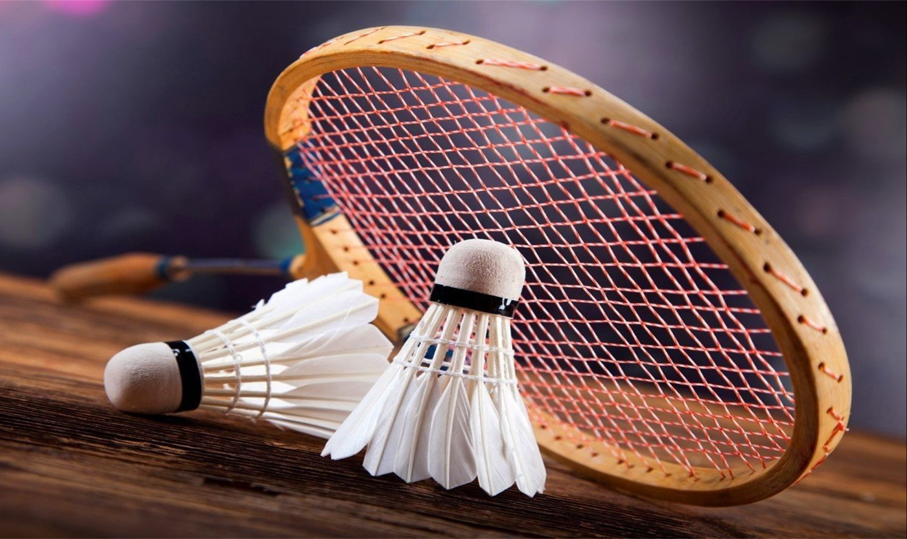 的比赛中 的比赛中