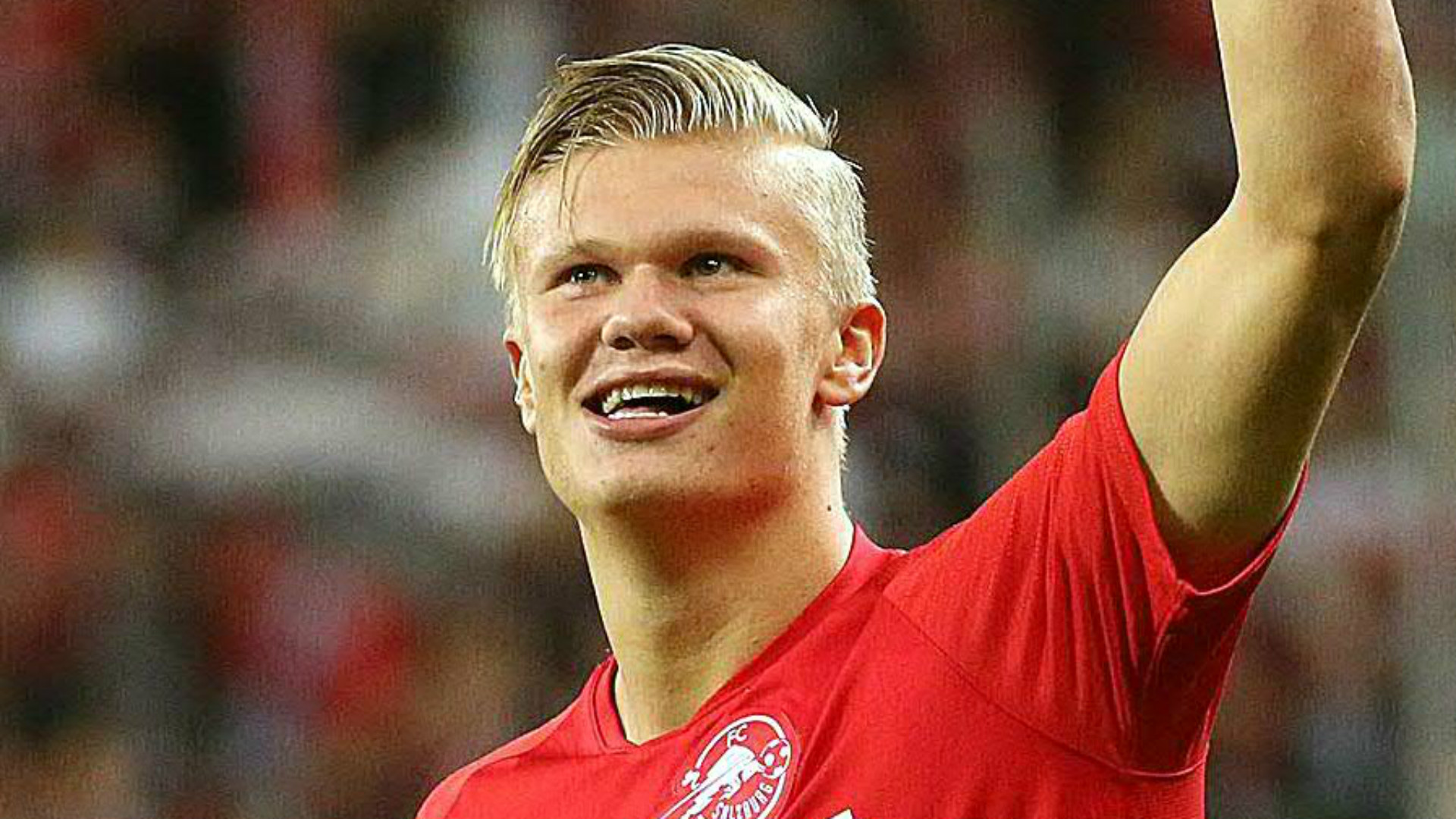 指標穩定上 指標穩定上