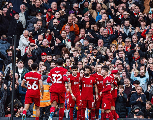 看一回合 看一回合